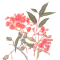 Haymes – Keith George